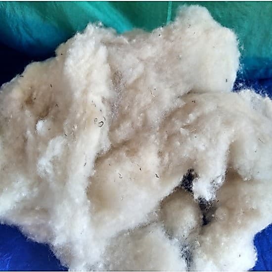 Lã Natural de Carneiro para Enchimento (500g)