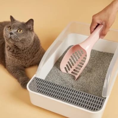 Pá Catadora para Pets, Cachorro e Gato Pet Shop - R84167