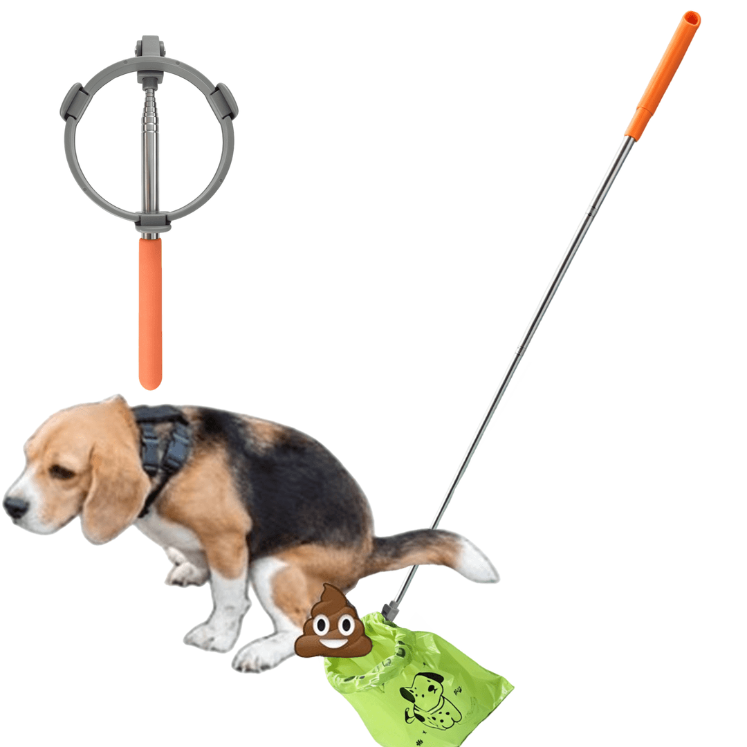 Coletor Portátil Dobrável de Fezes de Cão com Saco Retrátil para Resíduos Caninos ao Ar Livre