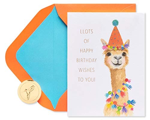 Papyrus Cartão de aniversário para crianças (se divertir)