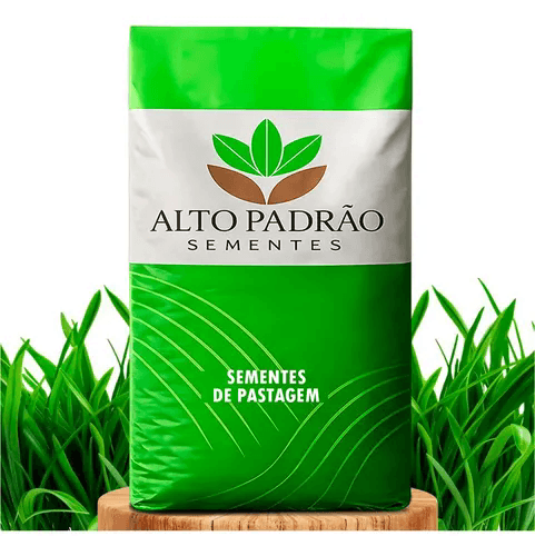 Capim Para Equinos Tipo Tifton 85 Fácil Plantio Pastagem 1kg