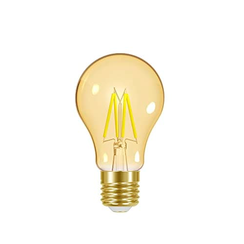Lâmpada LED Filamento Vintage Autovolt E27, 4W, Ambar Taschibra A60 11080378