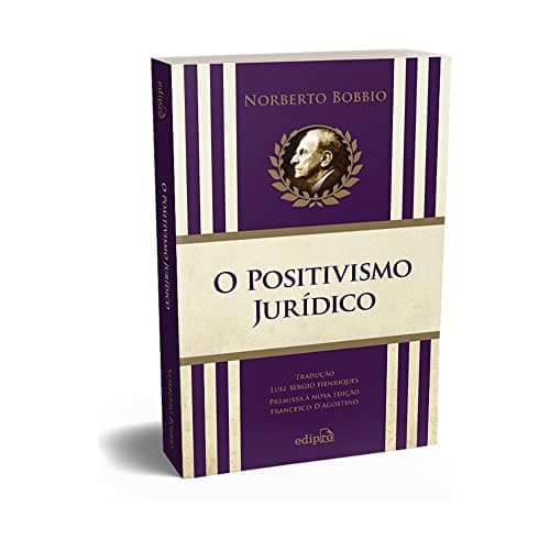 O Positivismo Jurídico - Lições de Filosofia do Direito: Lições de Filosofia do Direito